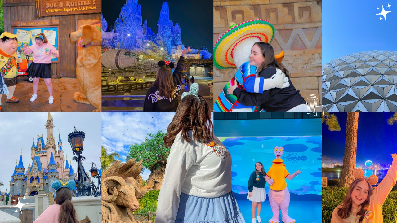 MON EXPERIENCE A WALT DISNEY&nbsp;WORLD