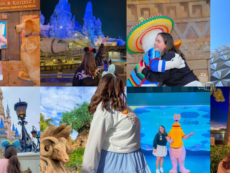 MON EXPERIENCE A WALT DISNEY&nbsp;WORLD