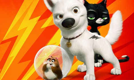 Volt, star malgré&nbsp;lui